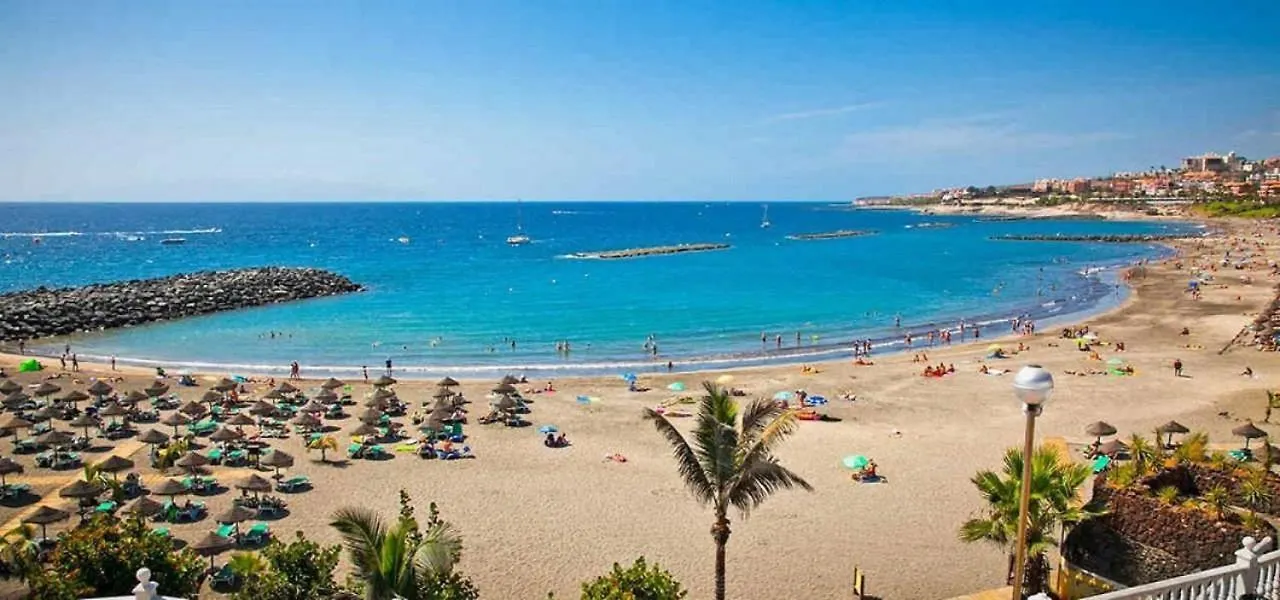 Duplex Las Americas Playa de las Americas  Playa de las Americas (Tenerife)